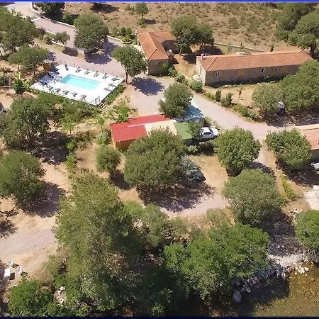E Canicce Moltifao