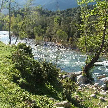 E Canicce Moltifao