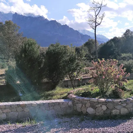 E Canicce Hotel Moltifao