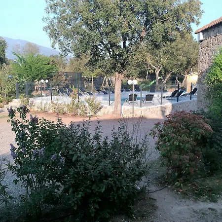 E Canicce Moltifao