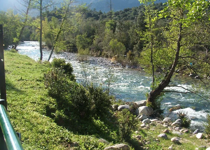 E Canicce Moltifao