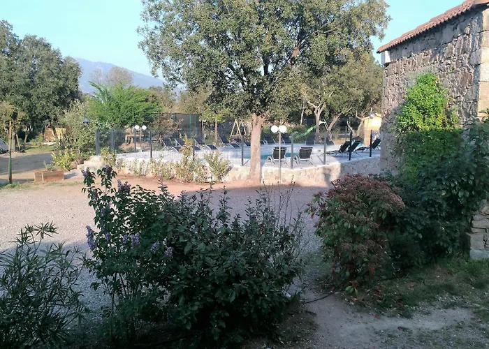 E Canicce Moltifao